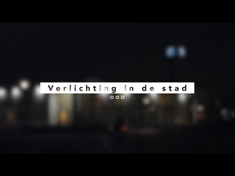 Diervriendelijke verlichting in Leiden