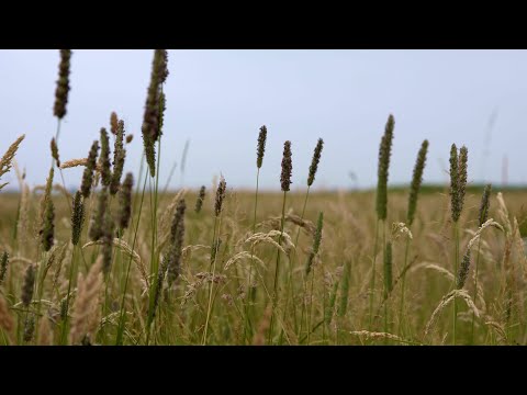 Het Verdwenen Vliegveld – Aflevering 2: Achter de schermen op het vliegveld