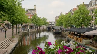 Wonen Gemeente Leiden – Omzettingsvergunning